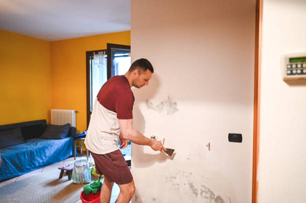 Best Fast Mold Removal  in Deville, AL