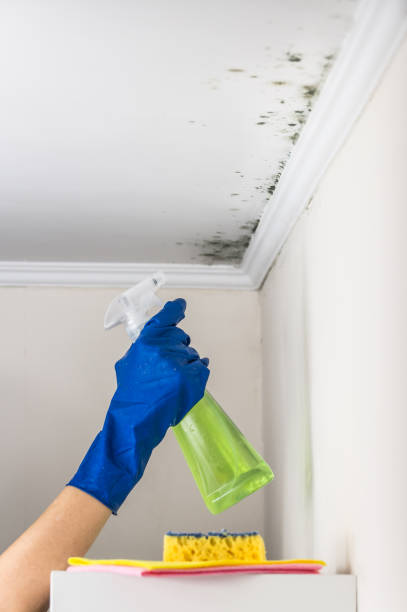 Best Mold Testing  in Deville, AL